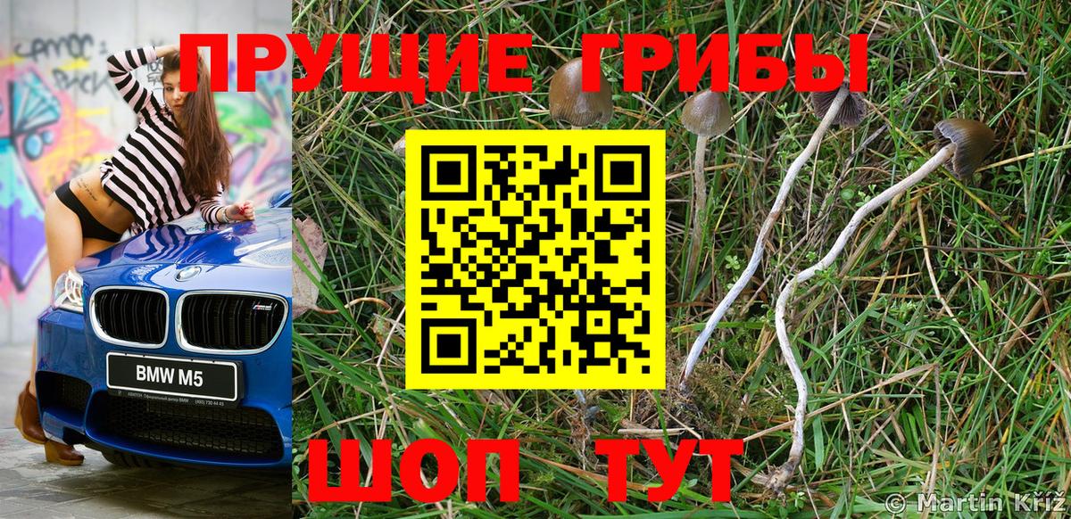 Можайск  Псилоцибиновые грибы GOLDEN TEACHER  Вход с VPN 
